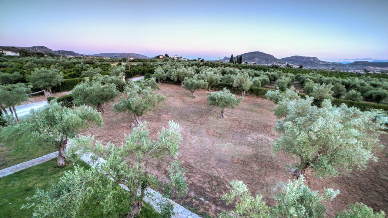 Agroktima Elia Nafplio Exterior foto